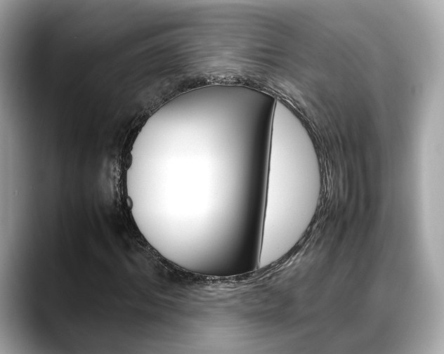 X0000088720964200705311054