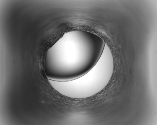 X0000088720965200705311054