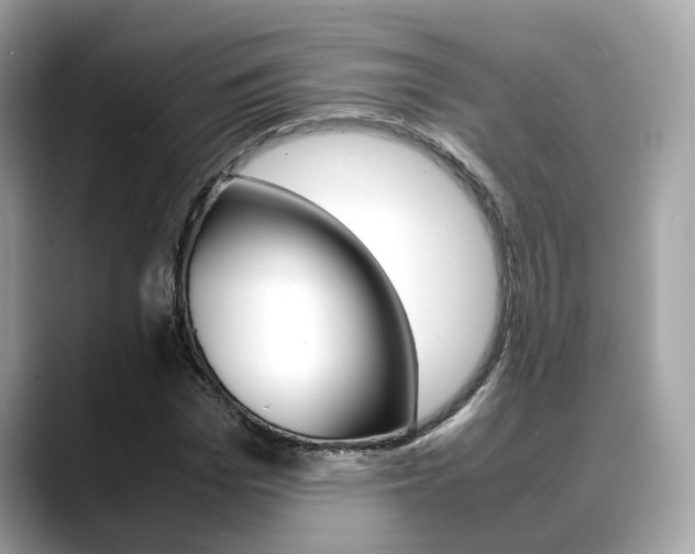 X0000088720969200705311054