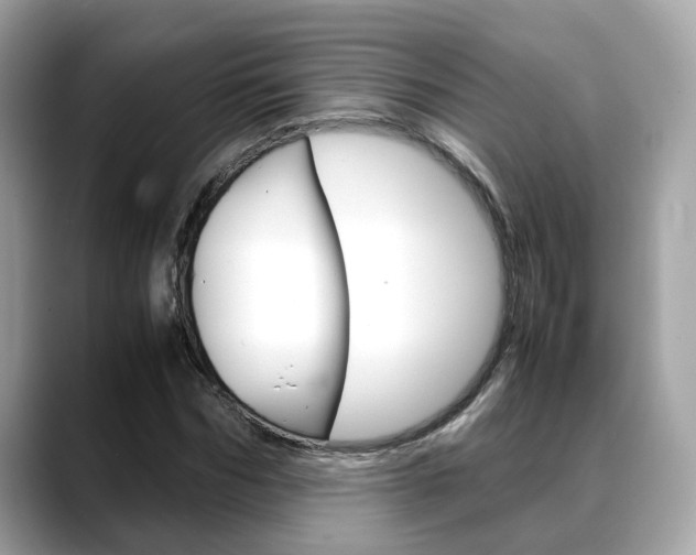 X0000088720970200705311054