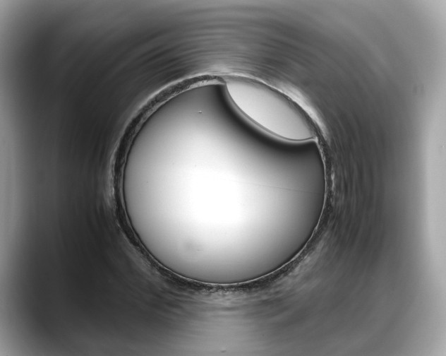 X0000088720972200705311054