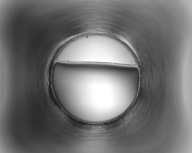 X0000088720979200705311054