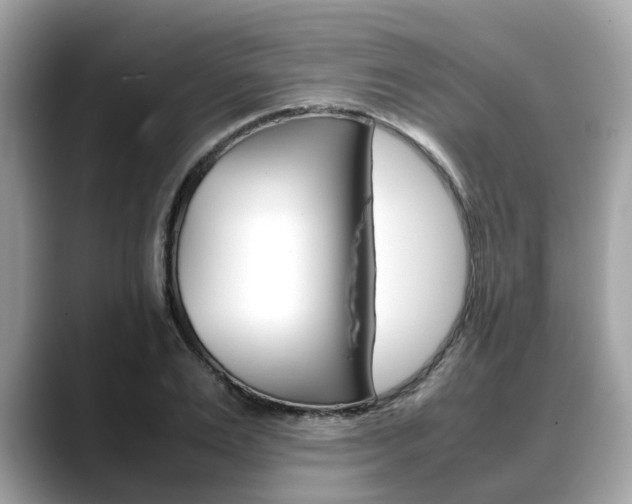 X0000088720983200705311053