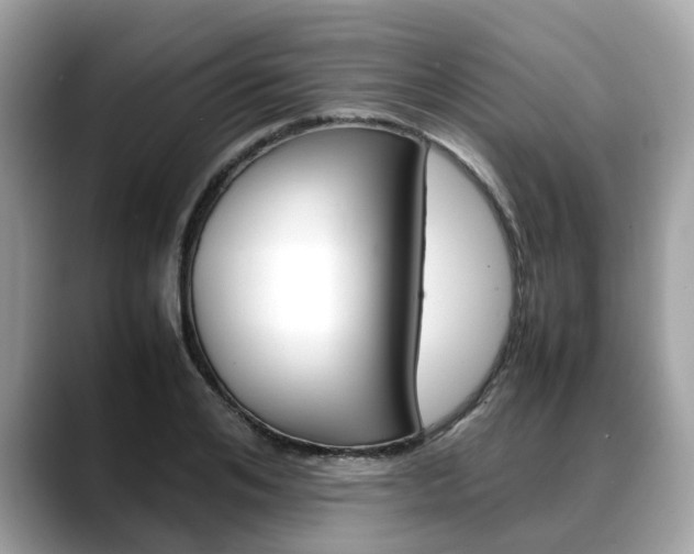 X0000088720984200705311053
