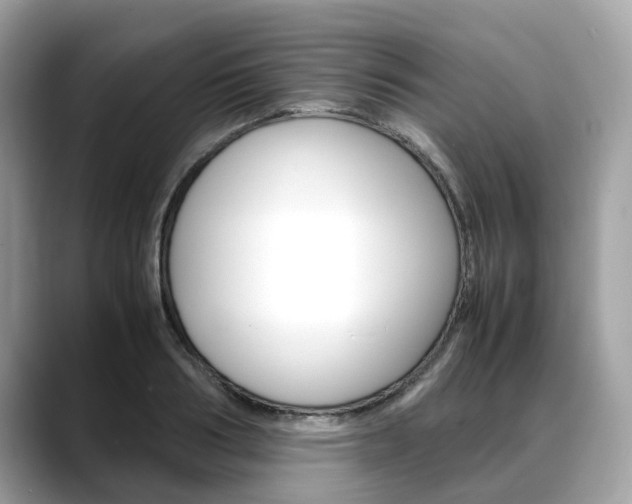 X0000088720986200705311053