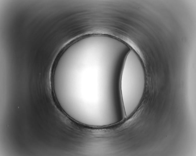 X0000088720988200705311053