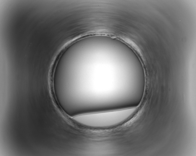 X0000088720989200705311053