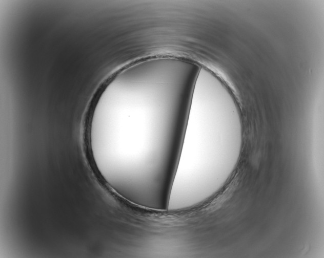 X0000088720991200705311053