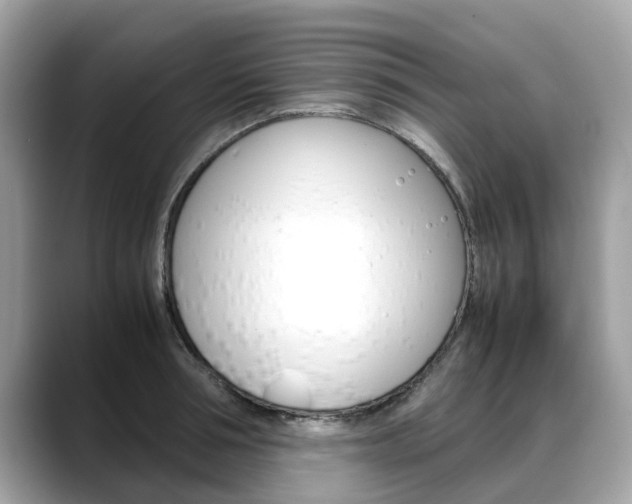 X0000088720994200705311053