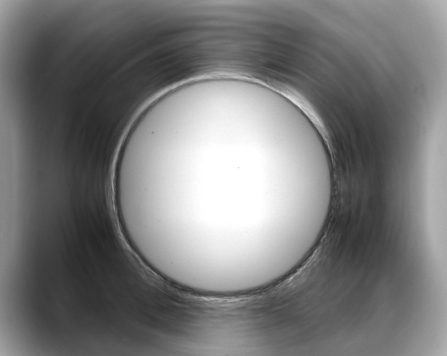 X0000088720996200705311053