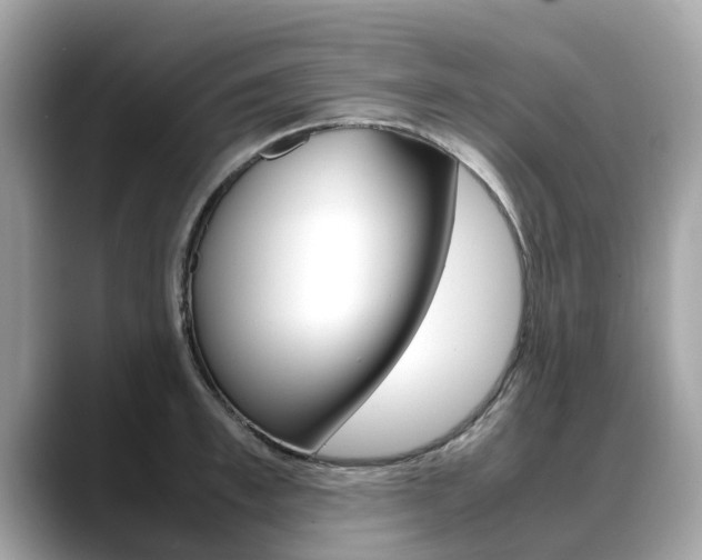 X0000088720997200705311053