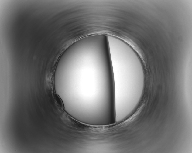 X0000088721001200705311053