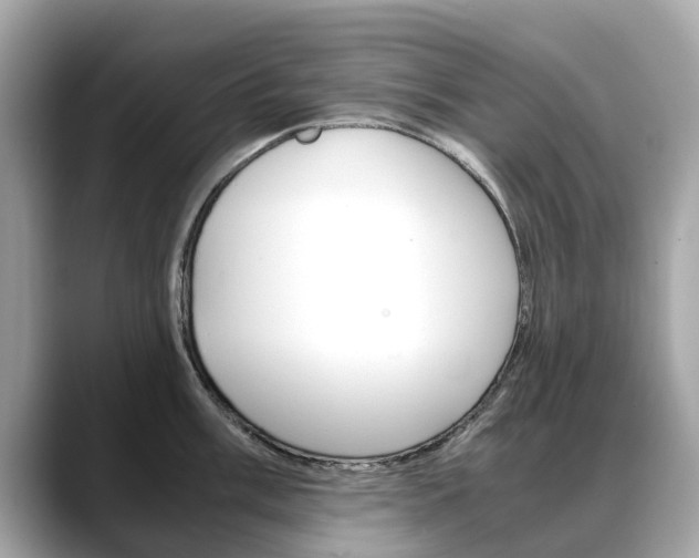X0000088721003200705311053