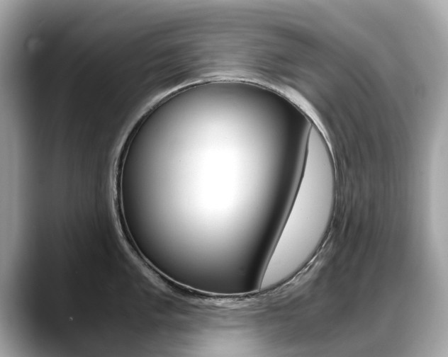 X0000088721005200705311053