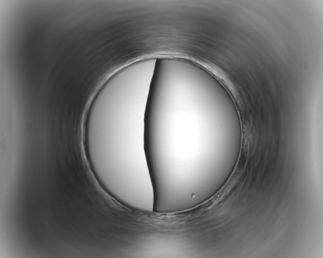 X0000088721006200705311053