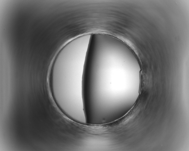X0000088721007200705311053