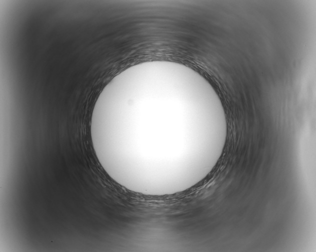X0000088721010200705311053