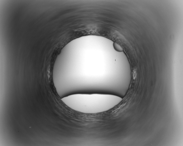 X0000088721011200705311053
