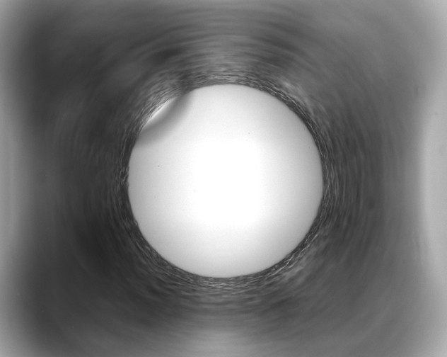 X0000088721012200705311053