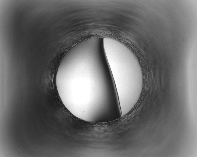 X0000088721013200705311053