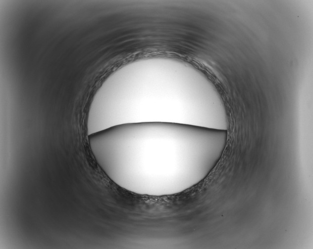 X0000088721015200705311053