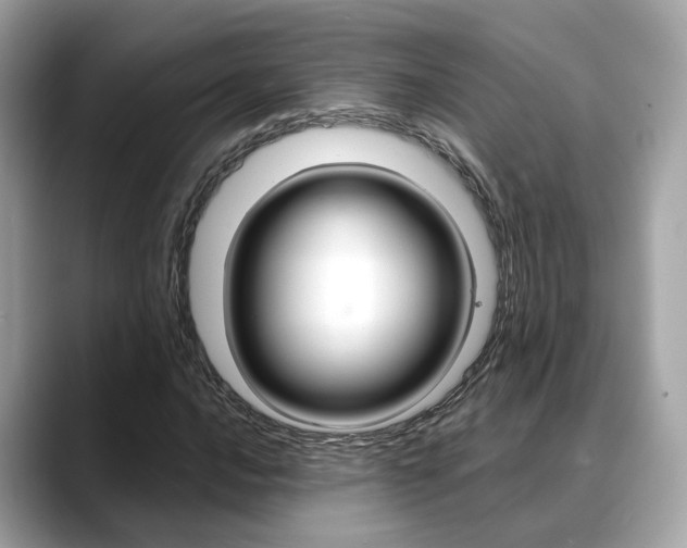 X0000088721016200705311053