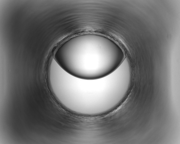 X0000088721018200705311053