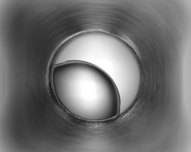 X0000088721020200705311053