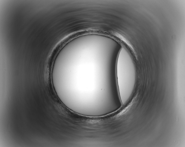 X0000088721021200705311053