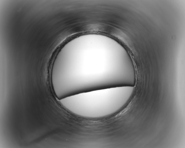 X0000088721023200705311053