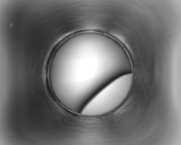 X0000088721024200705311053