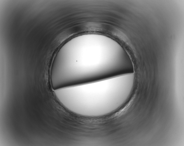 X0000088721025200705311053