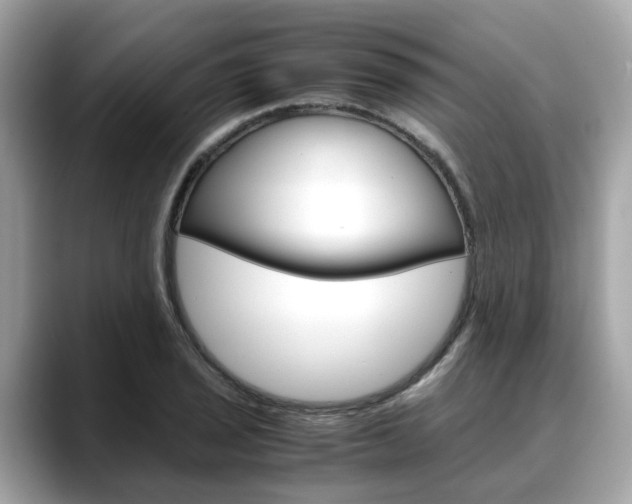 X0000088721029200705311053