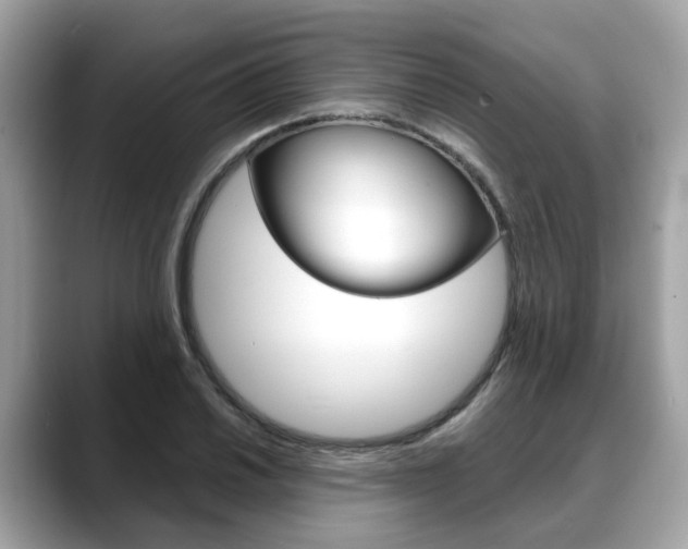 X0000088721030200705311053