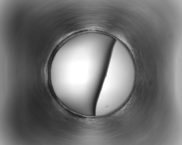 X0000088721032200705311053