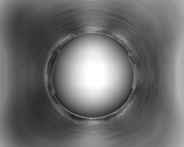 X0000088721034200705311053