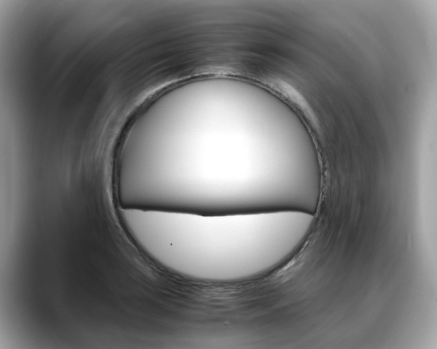 X0000088721035200705311053