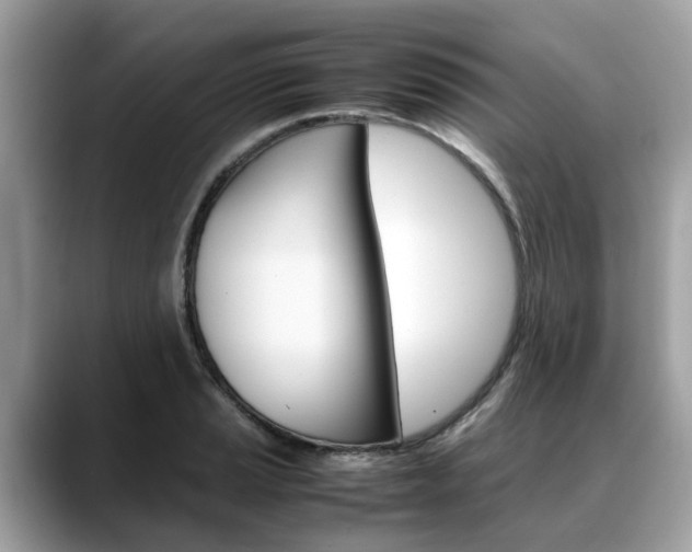 X0000088721037200705311053