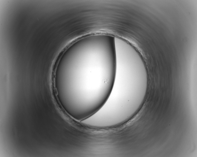 X0000088721038200705311053