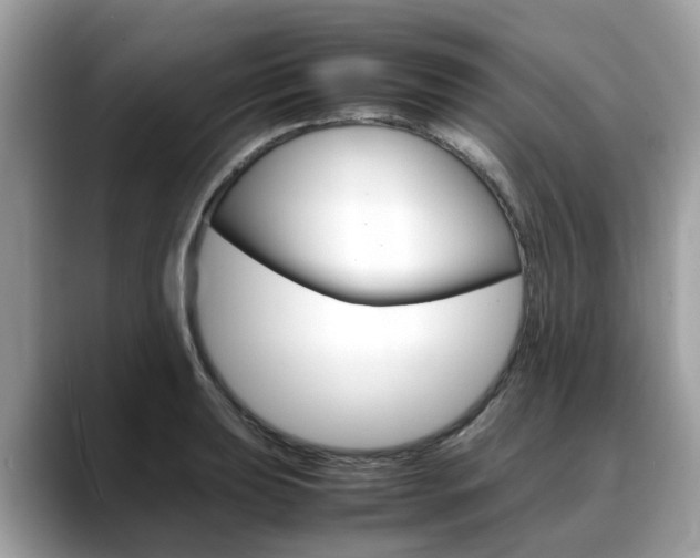 X0000088721039200705311053