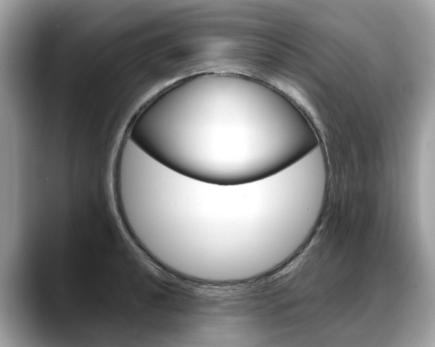 X0000088721040200705311053