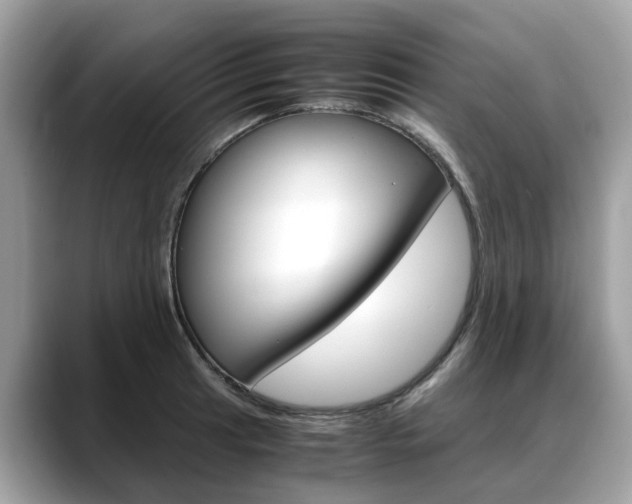 X0000088721041200705311053
