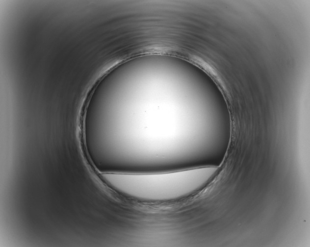 X0000088721042200705311053