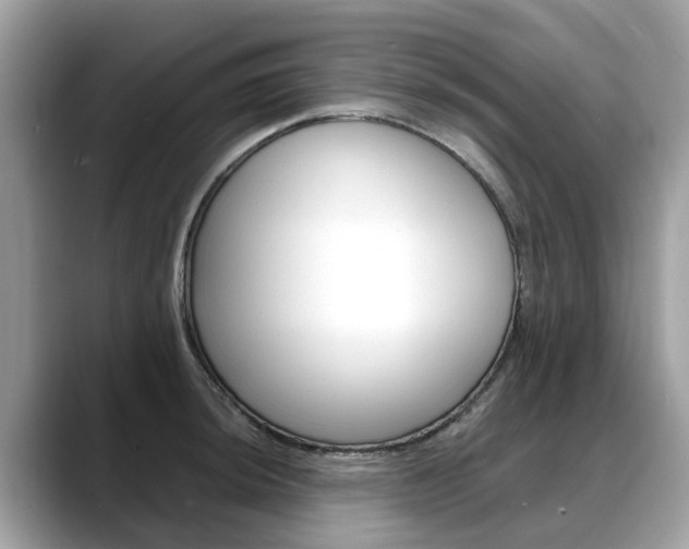 X0000088721044200705311053