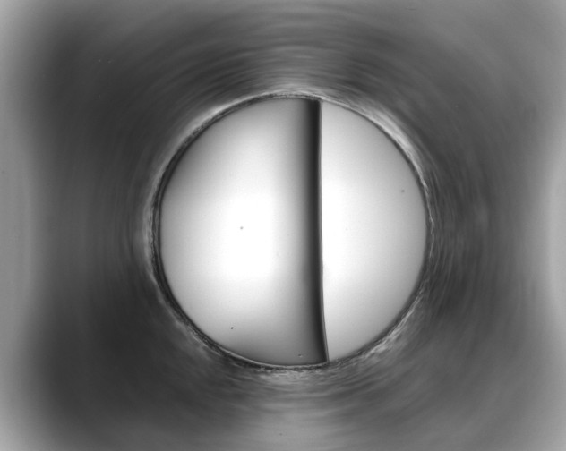 X0000088721048200705311053