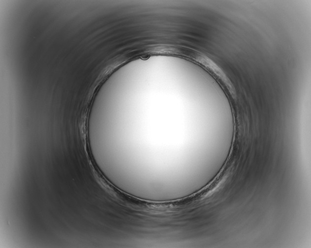 X0000088721049200705311053