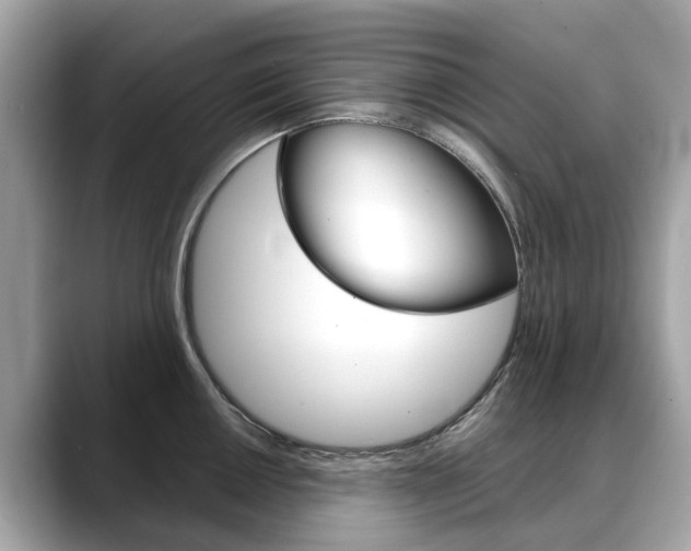 X0000088721050200705311053