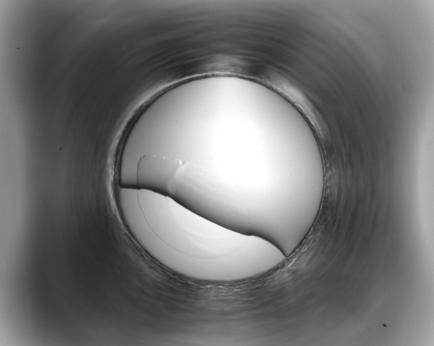 X0000088721051200705311053