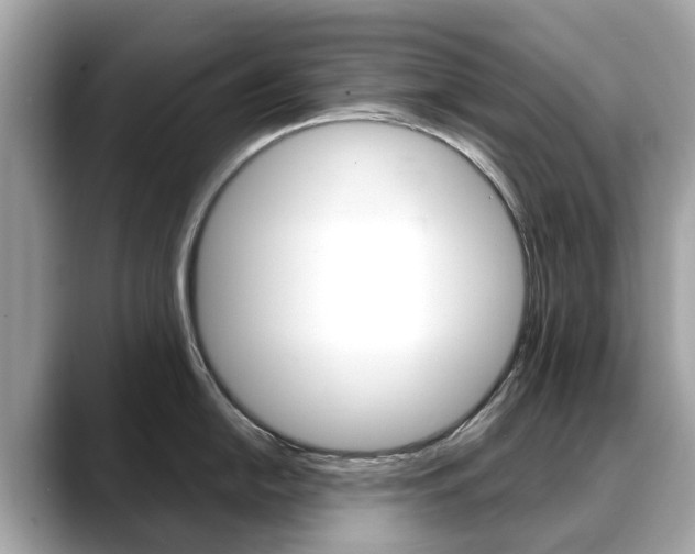 X0000088721054200705311053