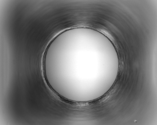 X0000088721055200705311053